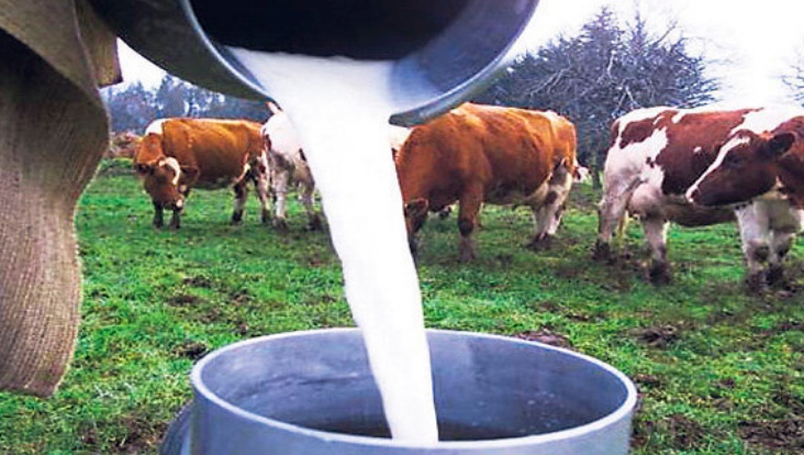 “Precio mínimo de la leche a puerta de corral debería ser de 30 centavos de dólar”