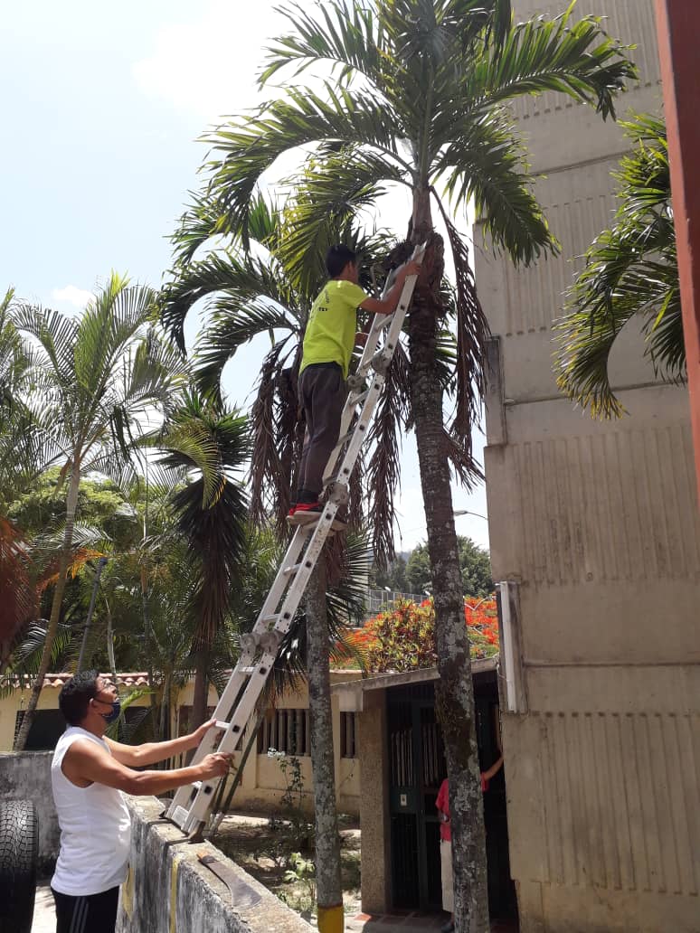 Niegan que incumplan medidas preventivas en la Simón Bolívar