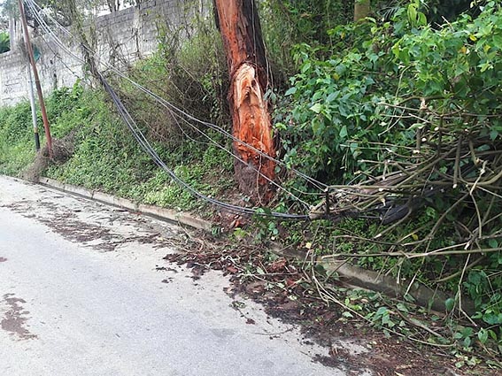 Cableado en Club de Campo es de Cantv y no de electricidad
