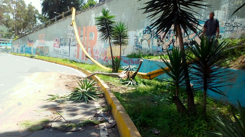 Cayó parte de la defensa de la avenida Bicentenario
