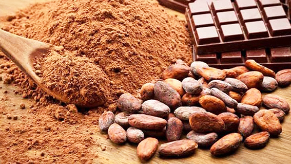 Cacao venezolano es premiado en concurso Great Taste Awards 2020