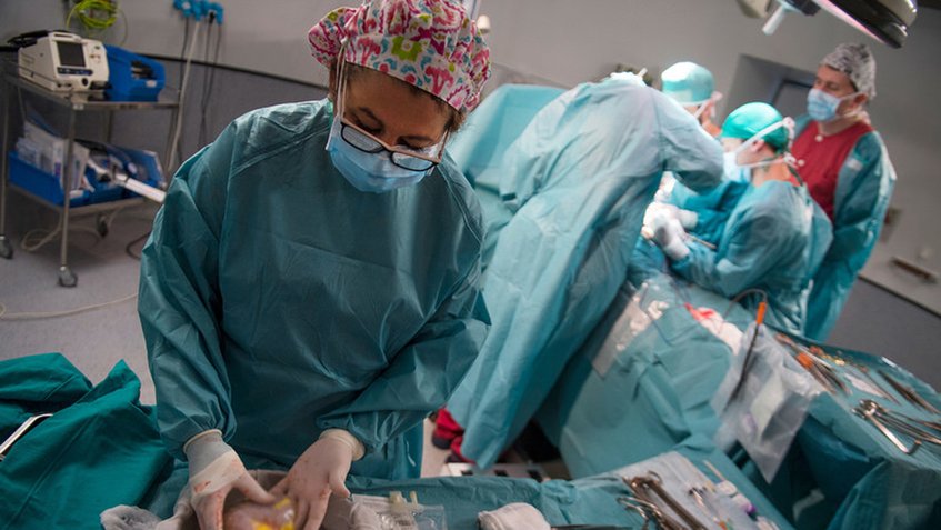 Encarcelados cuatro médicos por tráfico de órganos en China