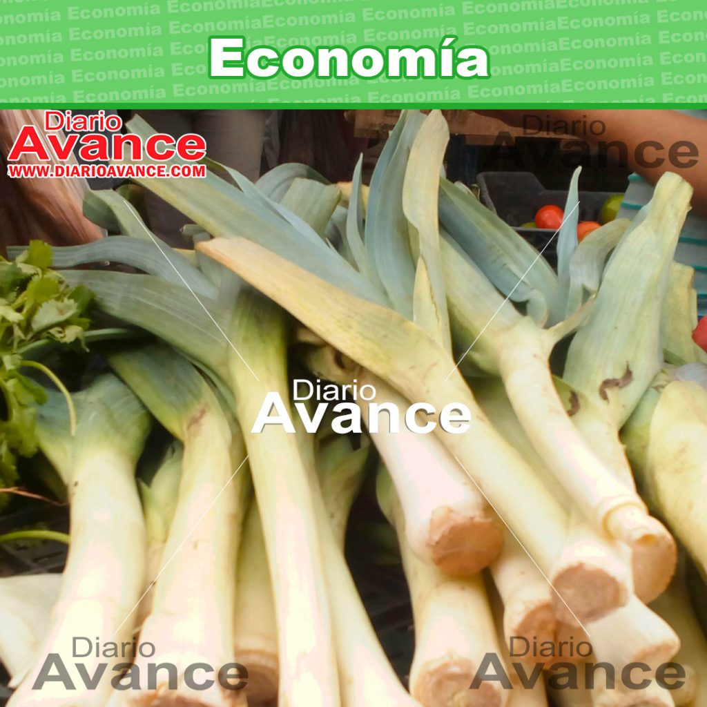 Un kilo de ajo porro se ubica en Bs. 6.000.000 Diario Avance