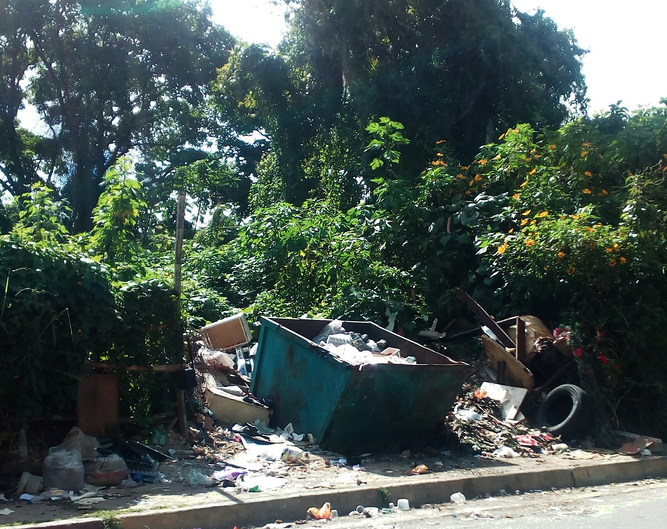 Bote de basura en la Bolívar genera descontento