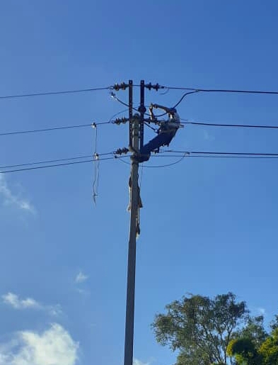 Efectuaron mantenimiento a redes eléctricas en el municipio Los Salias