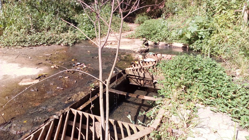 Colegio Cecilio Acosta y el Parque Los Lagos agonizan