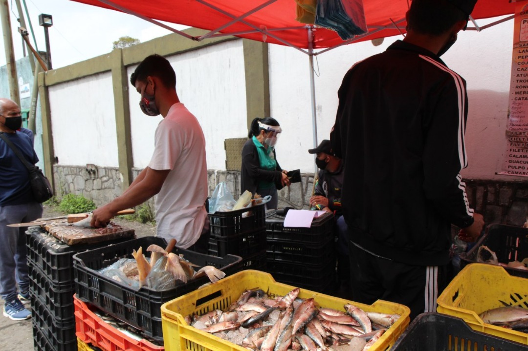 Activan jornada “Pescar”  en Carrizal en Semana Santa