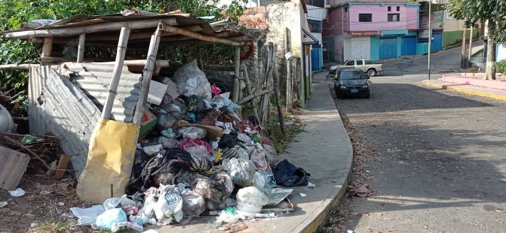 Denuncian fallas en recolección de basura en El Rincón