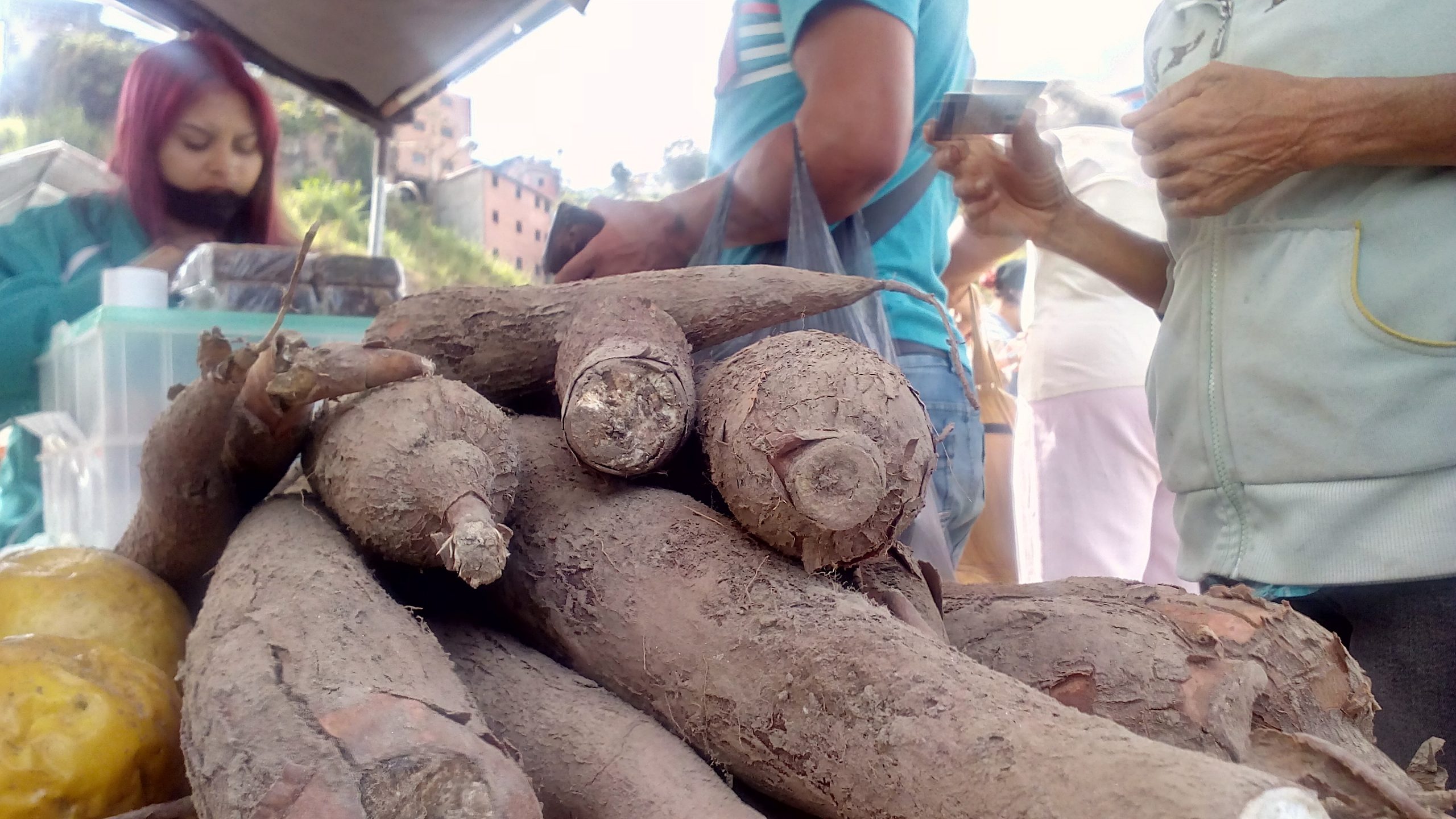 “Yuca es lo que usamos para rendir”