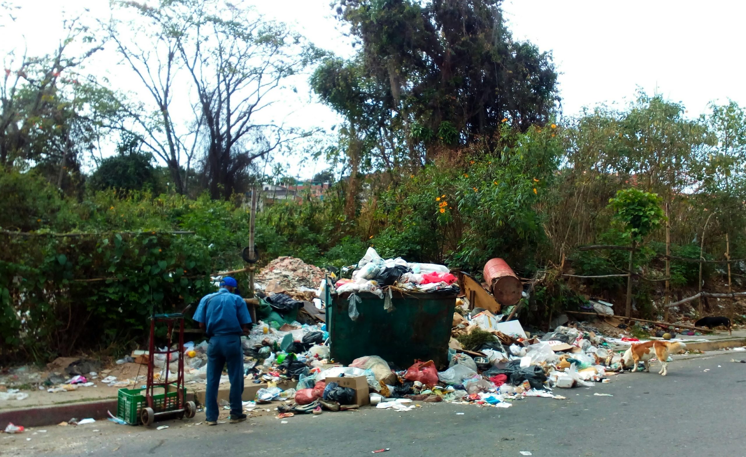 Cinco días que no pasa el camión del aseo y la basura está desbordada