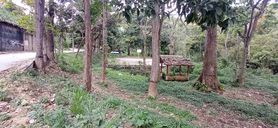 Ambientalistas piden el rescate del parque de Los Lagos