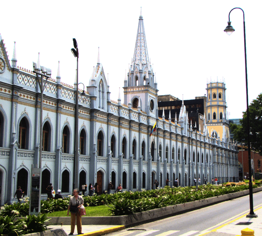 Academia Nacional de Medicina:  Pagar vacunas no es suficiente
