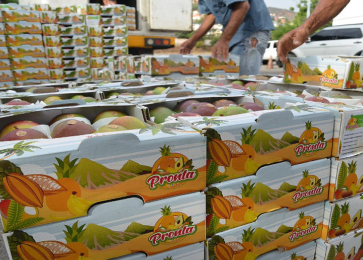 Han exportado 50 toneladas de frutas cosechadas en Miranda