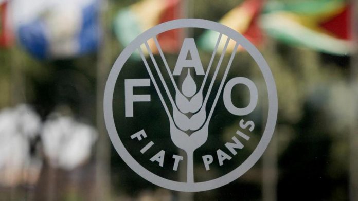 Gobierno llama ante la FAO al cese del bloqueo de EEUU