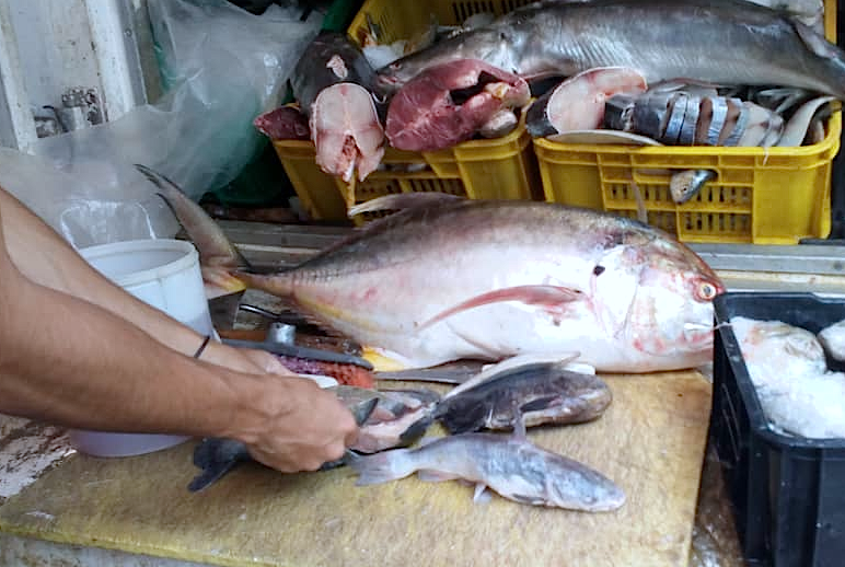 Seis comunidades reciben operativo de venta de pescado