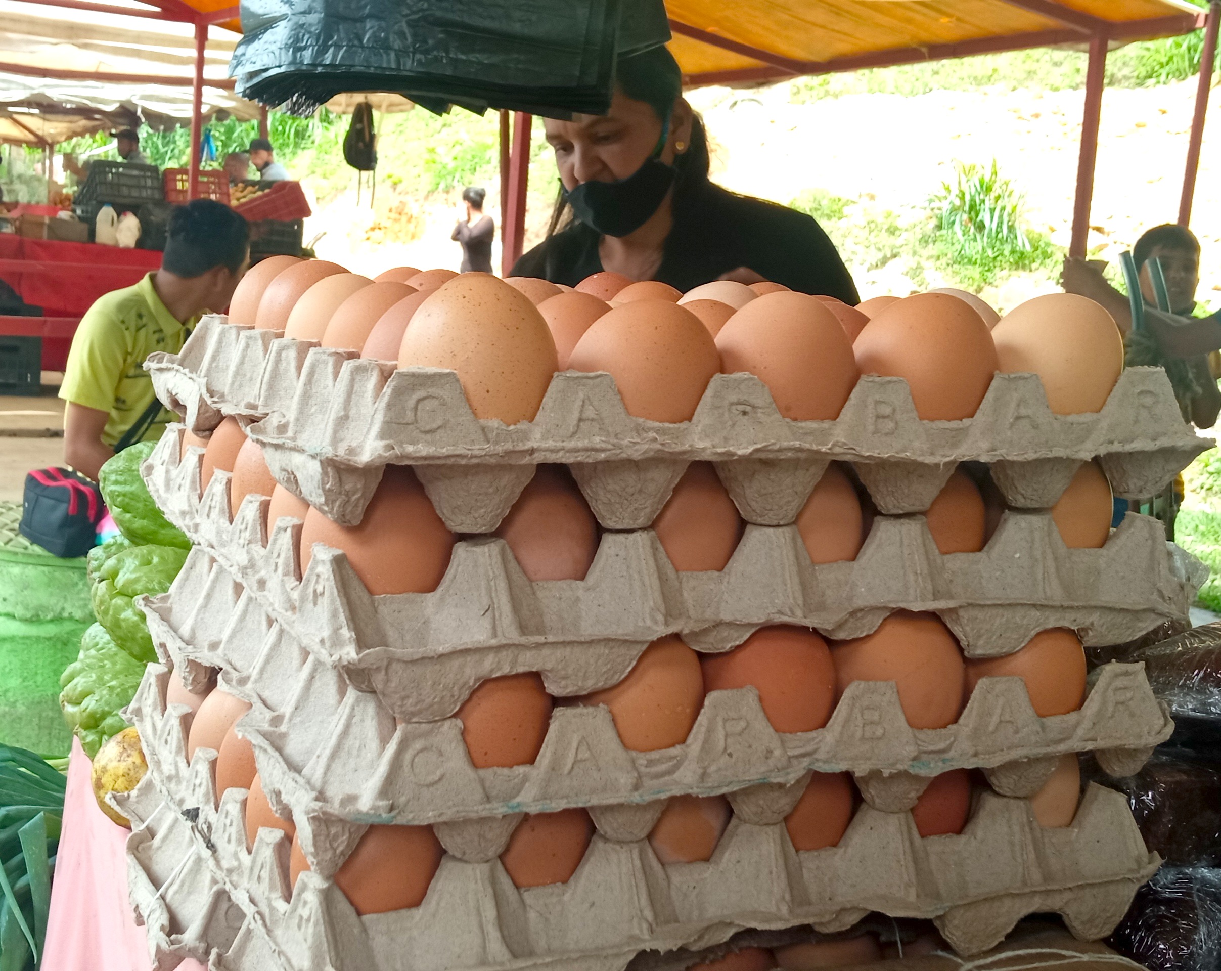 El medio cartón de huevo alcanzó los Bs. 8.500.000