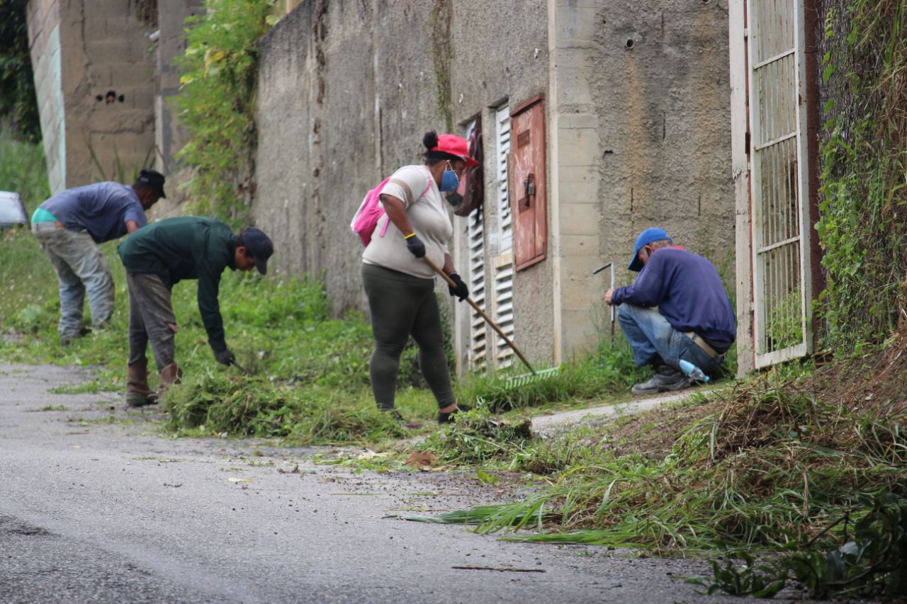 Adelantan labores de desmalezamiento en Carrizal