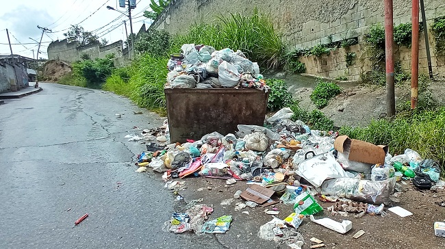 “Las ratas están metiéndose en las casas”