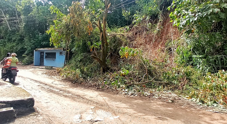 Cinco días tiene un árbol caído en la vía a Él Trigo