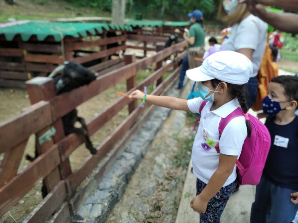 Niños disfrutan de día de piscina y visita a zoológico