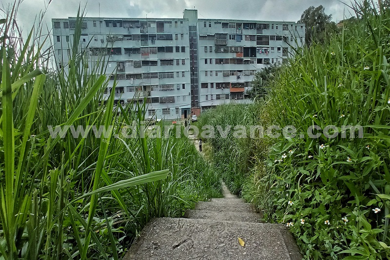 Total abandono en urb. Cecilio Acosta de El Paso