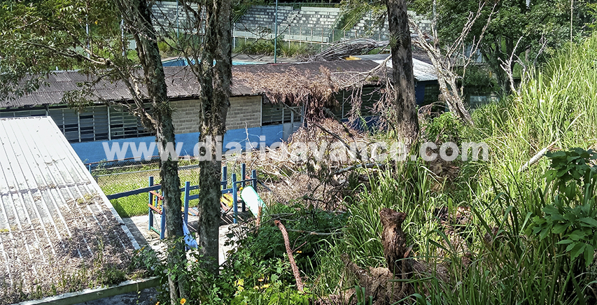 Árboles caídos en El Paso afectan a escuelas