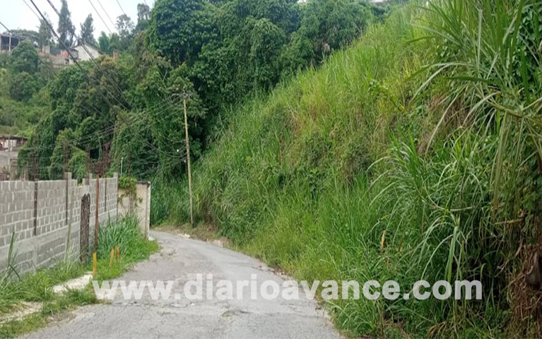 El monte rodea las calles de Club Hípico