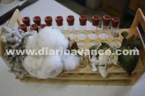 Captura de pantalla 2021-10-27 a la(s) 6.35.04 p. m.