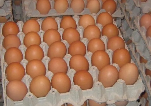 “Los meses de pensión que pagaron alcanzan para un cartón de huevos”
