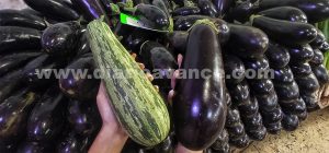 berenjena y calabacin marca