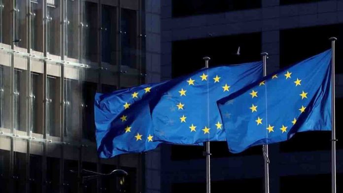 Gobierno podría no aceptar misión de observación de la UE