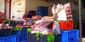 pescados.Luis maizo marca