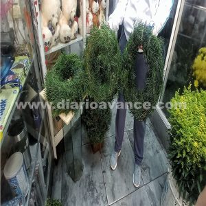 marca de agua web-Recuperado