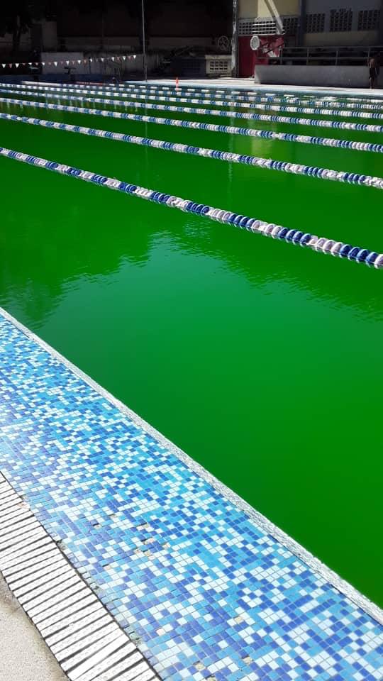 Nadadores denuncian deterioro de piscinas del IND