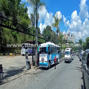 marca de agua web-Recuperado