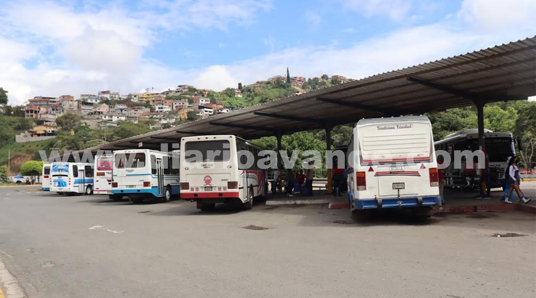 Más de 38 mil pasajeros salieron desde Los Lagos en diciembre