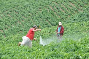 a69a5173-e54d-4a92-8b32-a87df89d852a