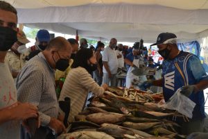 d3d94f91-835a-45d2-bb61-6db63faf1dd0