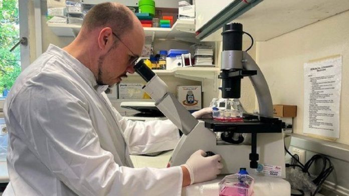 OMS cree que la viruela del mono no se convertirá en otra pandemia