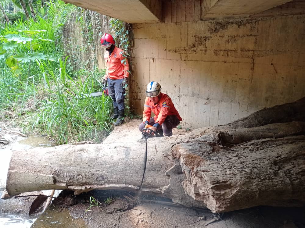 Remueven troncos que obstaculizaban drenajes