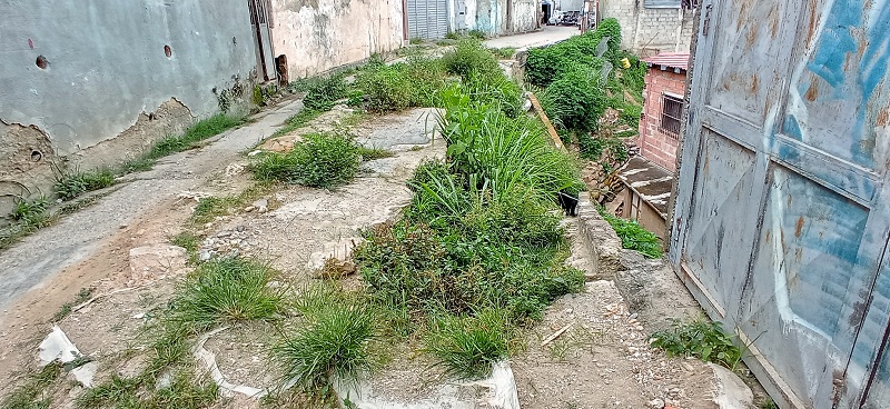 Esperan por reparación de la calle en Cabeza de León