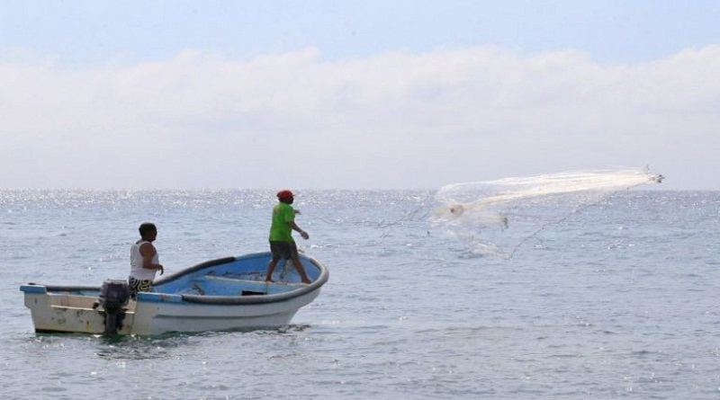 MP prohíbe pesca artesanal de especies marinas venezolanas