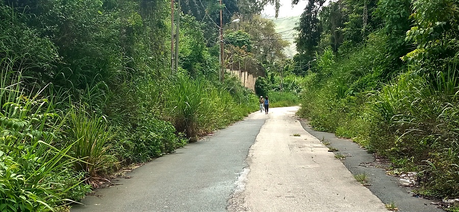 La maleza gana terreno