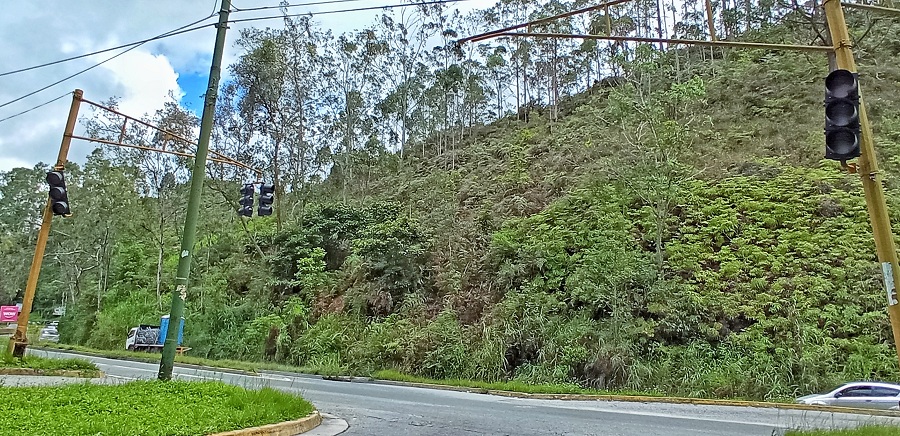 Alertan sobre semáforos fuera de funcionamiento en la Panamericana
