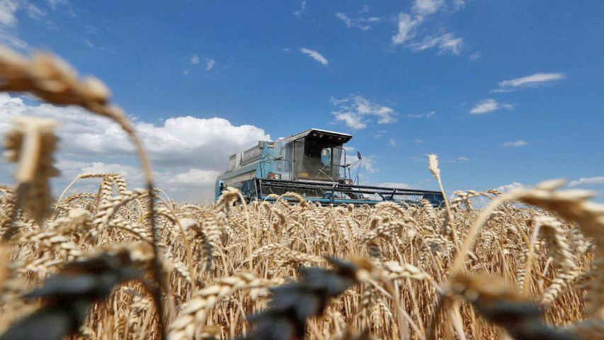 Ucrania y Rusia pactan un corredor marítimo seguro para exportar cereales