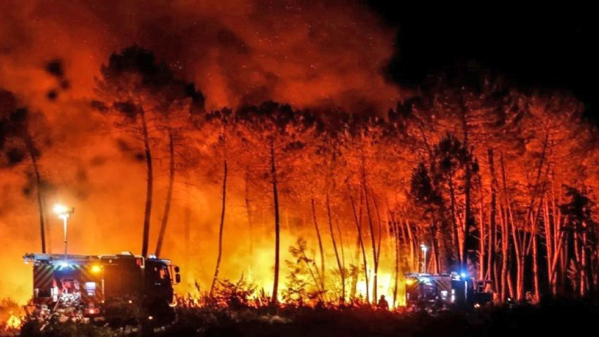 Italia sufre más de 30 mil incendios forestales en el último mes