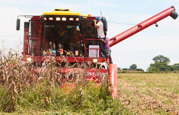 “97% de los campesinos culpa al bloqueo de baja producción”