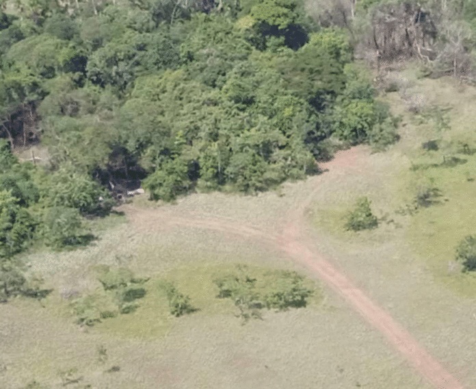 FANB ha inutilizado 19 aviones por ingreso ilegal