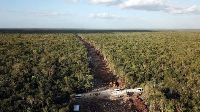 Denuncian ante la Unesco daños a Tren Maya