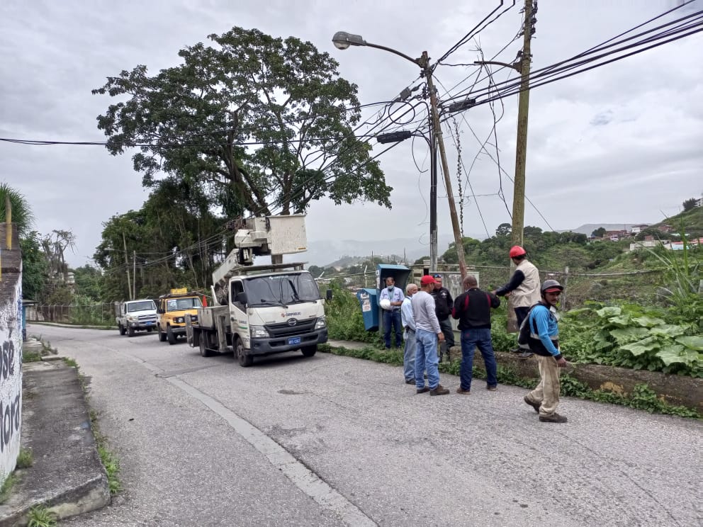 Aplicarán pica y poda en cuatro sectores de Carrizal